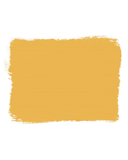 Chalk Paint Annie Sloan