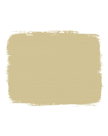 Chalk Paint Annie Sloan